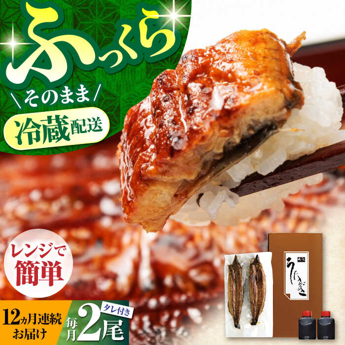 【ふるさと納税】【12回定期便】高知県産 朝焼きうなぎ蒲焼 2尾 セット 【株式会社 四国健商】[ATAF088]｜高知県高知市