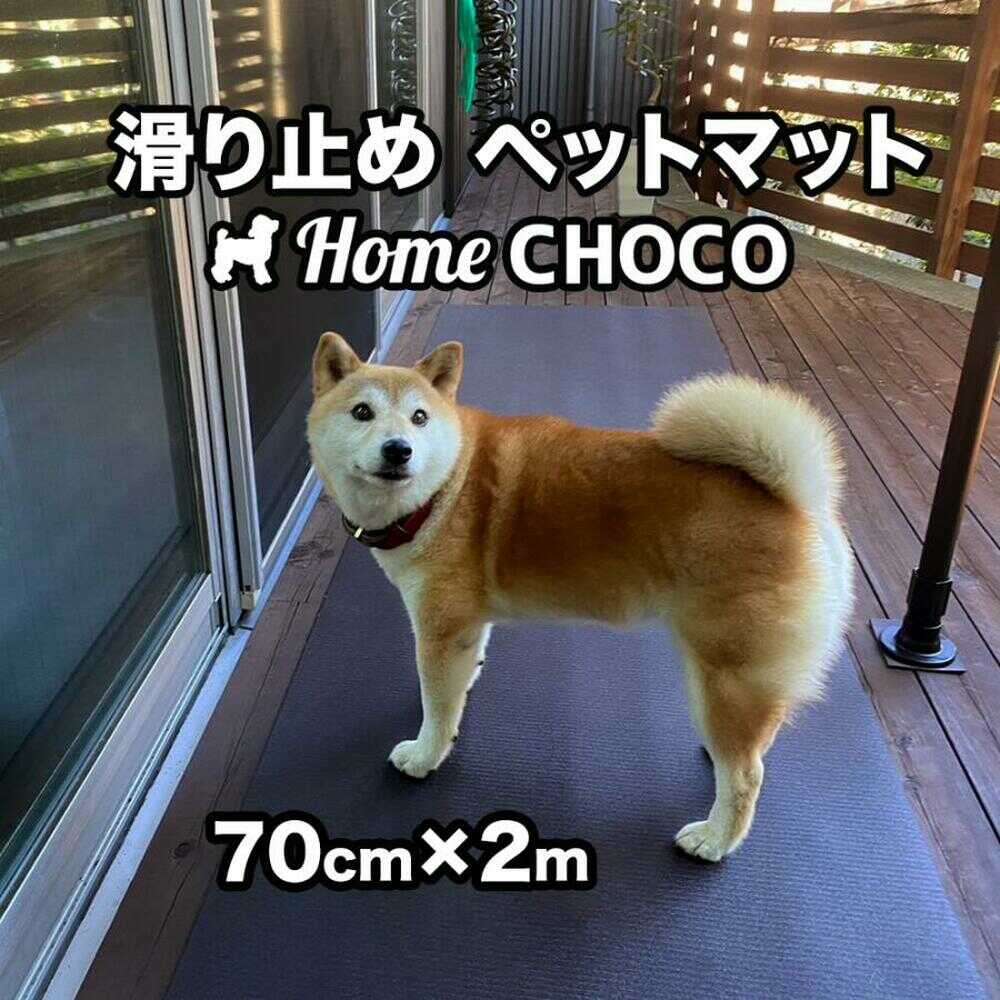 【土用の丑の日】高知のウナギ特集