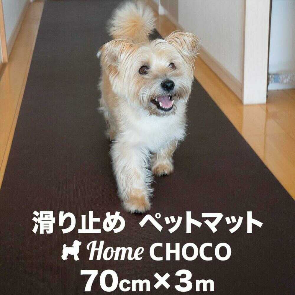 【土用の丑の日】高知のウナギ特集