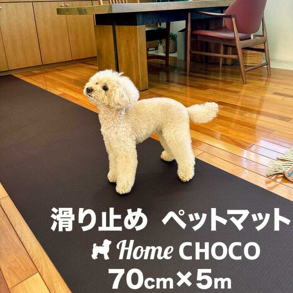 【土用の丑の日】高知のウナギ特集