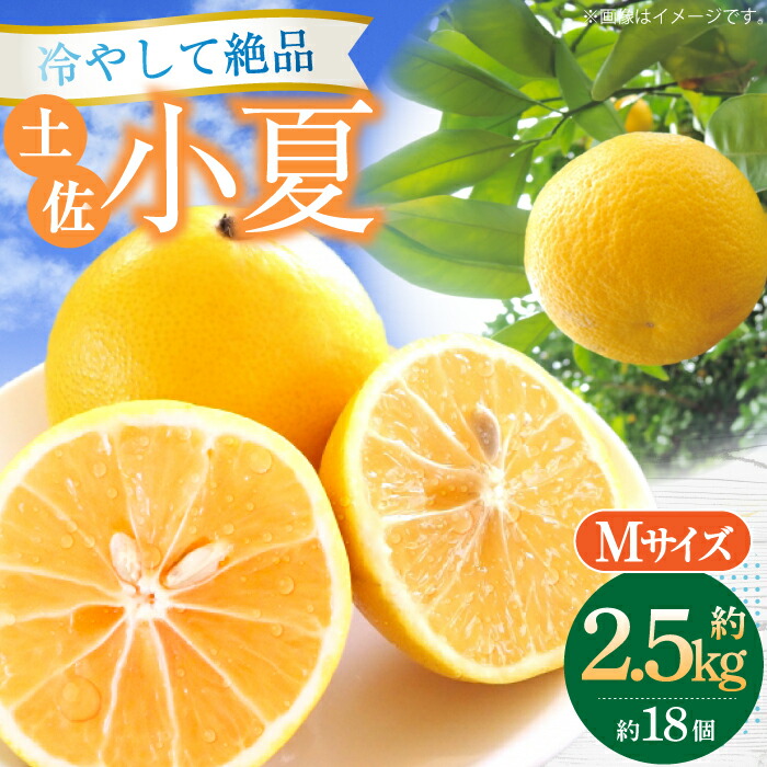 【ふるさと納税】【申込は5月下旬頃まで】土佐小夏 約2.5kg 18個前後 Mサイズ/高知 小夏 コナツ こなつ 果物 柑橘 フルーツ【フルーツショップオザキ】 [ATAH003]