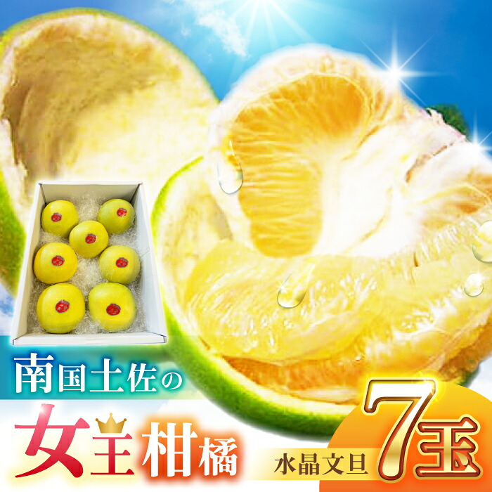 【先行予約】 南国土佐の女王柑橘 水晶文旦 約3kg 7玉入り〈2026年9月中旬～2026年12月中旬頃発送〉/ ぶんたん 文旦 3kg 3キロ フルーツ 高知 名物 果物 柑橘 ムッキー 【フルーツショップオザキ】[ATAH006]