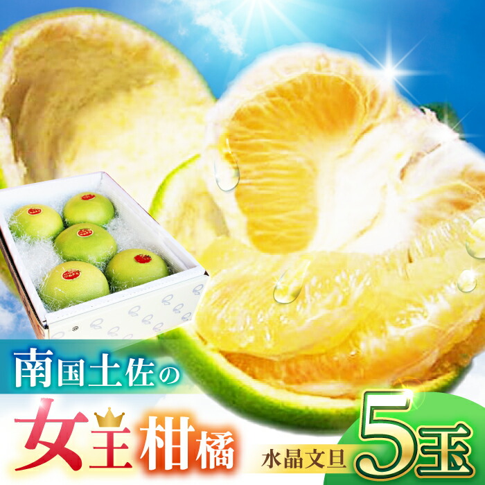 【先行予約】 南国土佐の女王柑橘 水晶文旦 約3kg 5玉入り〈2026年9月中旬～2026年12月中旬頃発送〉/ ぶんたん 文旦 3kg 3キロ フルーツ 高知 名物 果物 柑橘 ムッキー 【フルーツショップオザキ】[ATAH008]