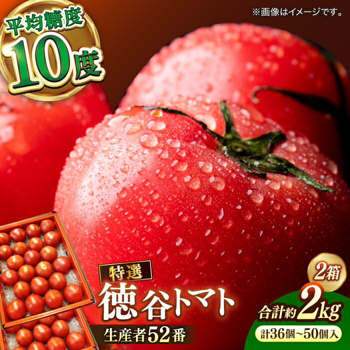 【ふるさと納税】【申込は5月中旬頃まで】希少！特選 徳谷トマト 約2kg 生産者52番 / 高糖度 甘い 贈答 高知 フルーツ 果物 数量限定 【フルーツショップオザキ】[ATAH014]