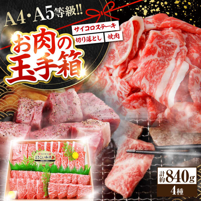 【ふるさと納税】高知から美味しいお肉の玉手箱! 化粧箱入り 総計約840g 牛肉 ステーキ 焼肉 切り落とし 国産 A4 A5 【(有)山重食肉】[ATAP020]