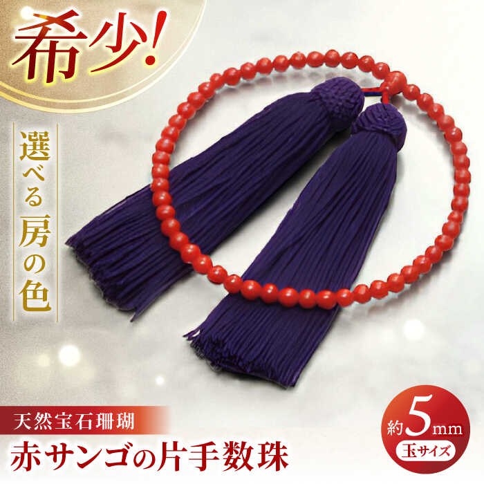 【土用の丑の日】高知のウナギ特集