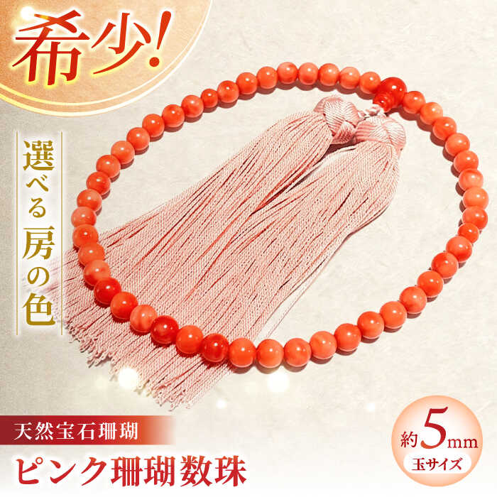 【土用の丑の日】高知のウナギ特集
