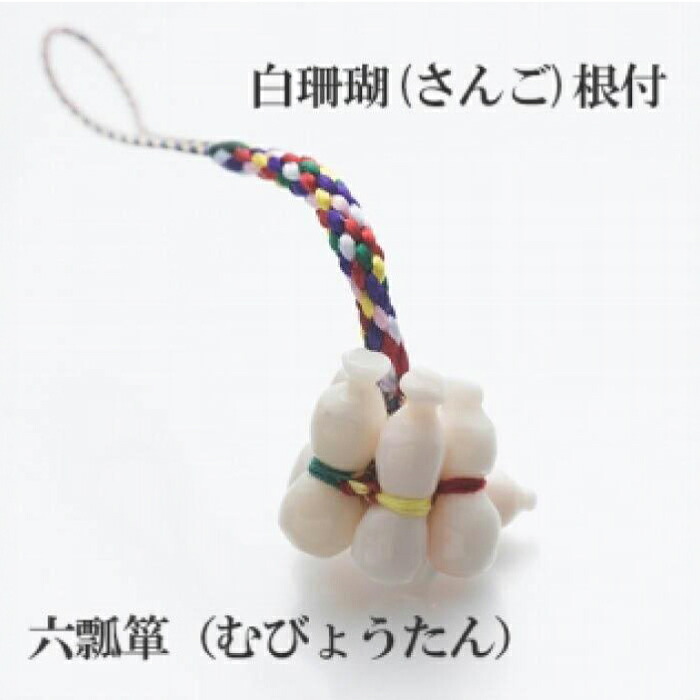【土用の丑の日】高知のウナギ特集