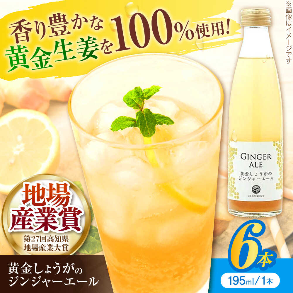 【ふるさと納税】黄金しょうがのジンジャーエール6本/ 土佐生姜 スパークリング ジンジャーエール 爽やか【はるのTERRACE】[ATAV001]
