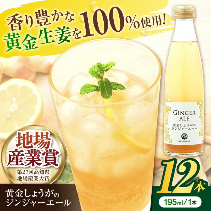【ふるさと納税】黄金しょうがのジンジャーエール12本/ 土佐生姜 スパークリング ジンジャーエール 爽やか【はるのTERRACE】[ATAV002]