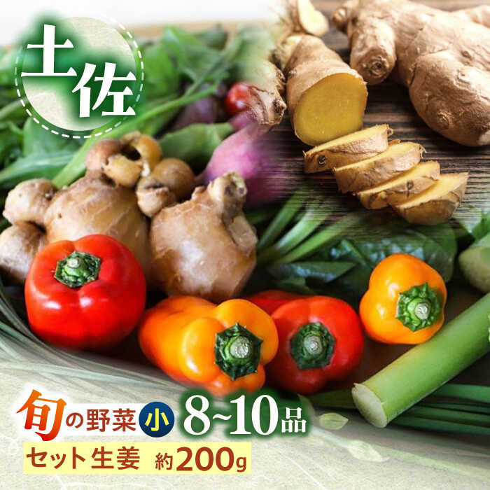 【ふるさと納税】土佐の太陽をいっぱいに浴びた旬の野菜生姜約200gのセット「小」【土佐野菜】[ATBA003]
