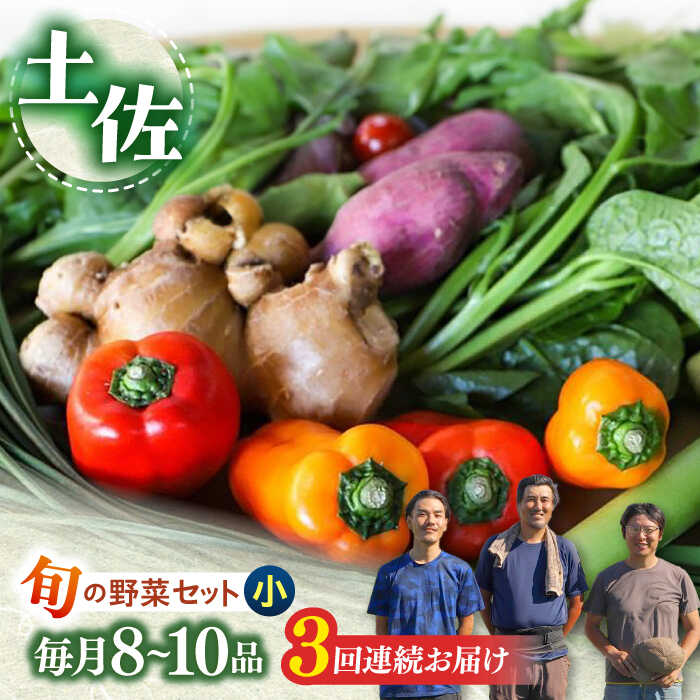 【ふるさと納税】【3回定期便】 土佐の太陽をいっぱいに浴びた旬の野菜セット小【土佐野菜】[ATBA005] 詰め合わせ 新鮮 産地直送 おまかせ 季節の野菜 定期便 セット 野菜定期便 野菜セット定期便 やさい ヤサイ 送料無料 野菜 セット 定期 定期便 旬野菜