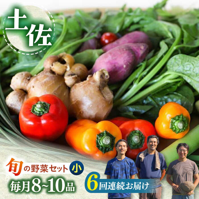 【ふるさと納税】【6回定期便】 土佐の太陽をいっぱいに浴びた旬の野菜セット小【土佐野菜】[ATBA006] 詰め合わせ 新鮮 産地直送 おまかせ 季節の野菜 定期便 セット 野菜定期便 野菜 定期 やさい ヤサイ 送料無料