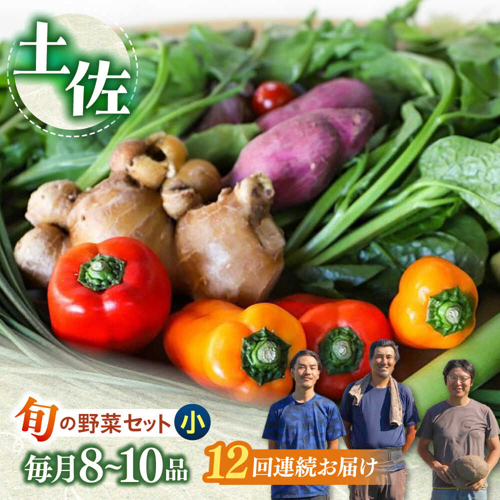 【ふるさと納税】【12回定期便】 土佐の太陽をいっぱいに浴びた旬の野菜セット小 【土佐野菜】[ATBA007] 詰め合わせ 新鮮 産地直送 おまかせ 季節の野菜 定期便 セット 野菜定期便 野菜 定期 やさい ヤサイ 送料無料