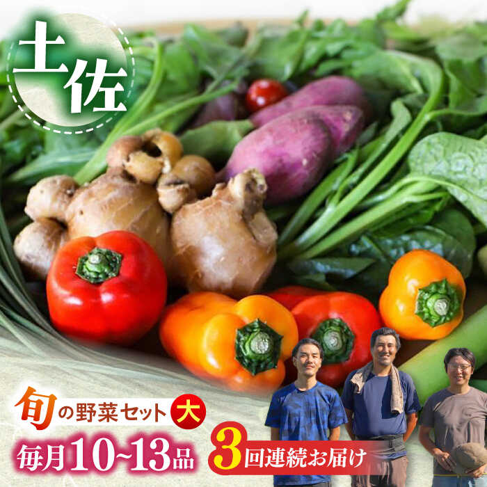 【ふるさと納税】【3回定期便】 土佐の太陽をいっぱいに浴びた旬の野菜セット「大」 (3回配送)【土佐野菜】[ATBA008] 詰め合わせ 新鮮 産地直送 おまかせ 季節の野菜 定期便 セット 野菜定期便 野菜 定期 やさい ヤサイ 送料無料