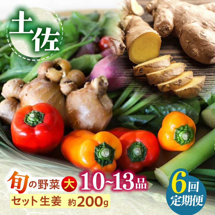 【ふるさと納税】【6回定期便】 土佐の太陽をいっぱいに浴びた旬の野菜と生姜約200gのセット「大」 (6回配送)【土佐野菜】[ATBA015] 詰め合わせ 新鮮 産地直送 おまかせ 季節の野菜 定期便 セット 野菜定期便 野菜 定期 やさい ヤサイ 送料無料