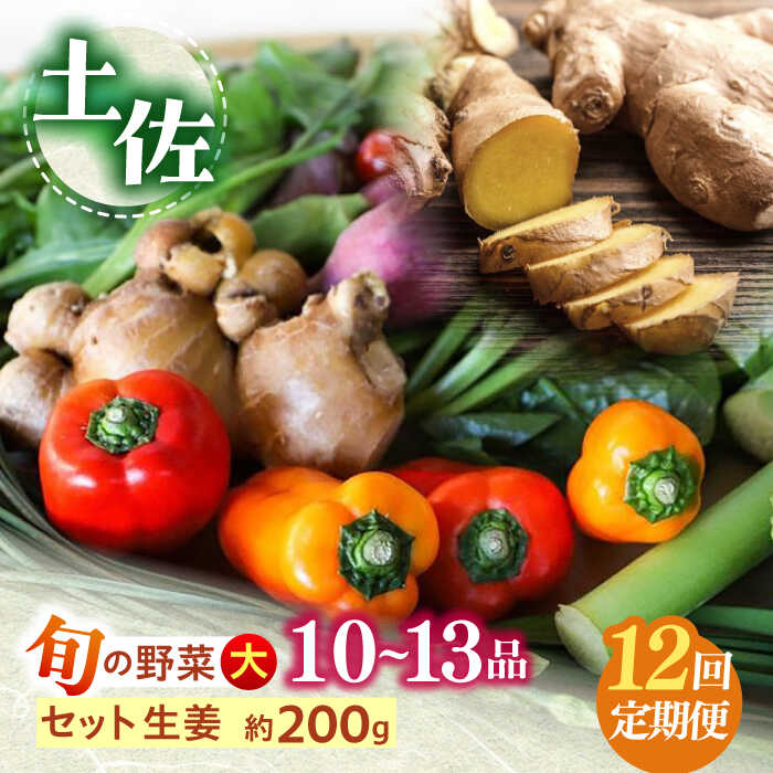 【ふるさと納税】【12回定期便】土佐の太陽をいっぱいに浴びた旬の野菜生姜約200gのセット「大」 (12回配送)【土佐野菜】[ATBA016]　詰め合わせ 新鮮 産地直送 おまかせ 季節の野菜 定期便 セット 野菜定期便 野菜 定期 やさい ヤサイ 送料無料 ふるさと納税 季節野菜