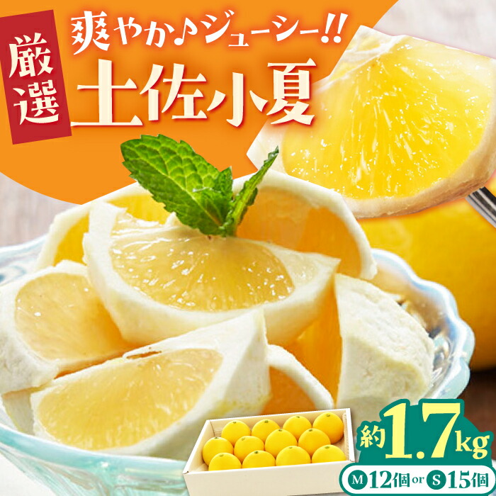【ふるさと納税】【先行予約・申込は6月下旬頃まで】厳選 土佐小夏 約1.7kg /高知 小夏 コナツ こなつ 果物 柑橘 フルーツ【有限会社 武田青果】 [ATBB009]