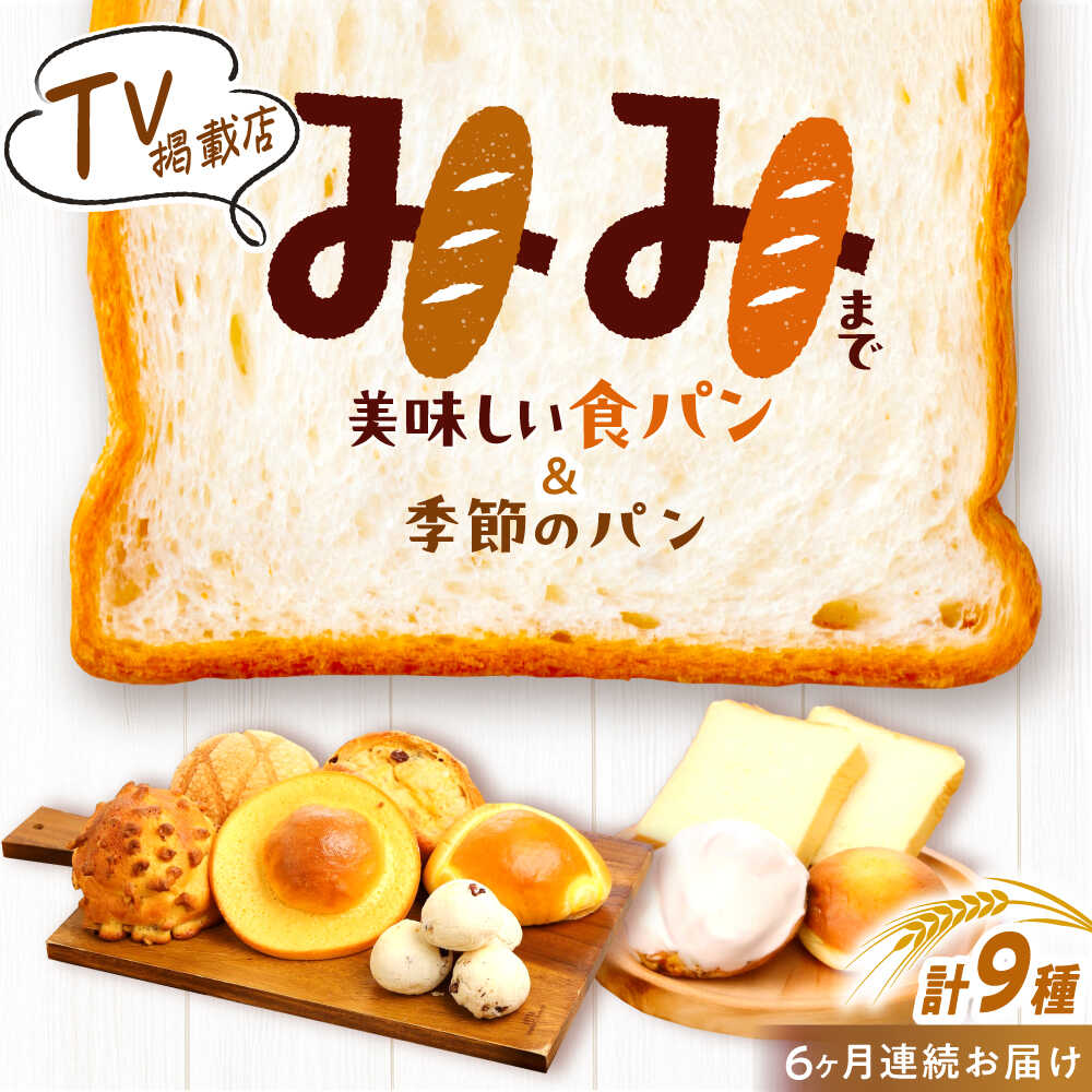 【ふるさと納税】【6回定期便】 コミベーカリー 季節のパンおまかせセット （9種入） / 高知 コミ パン 食パン 菓子パン 季節 おまかせ セット 詰め合わせ 【株式会社こみベーカリー】[ATBN002]
