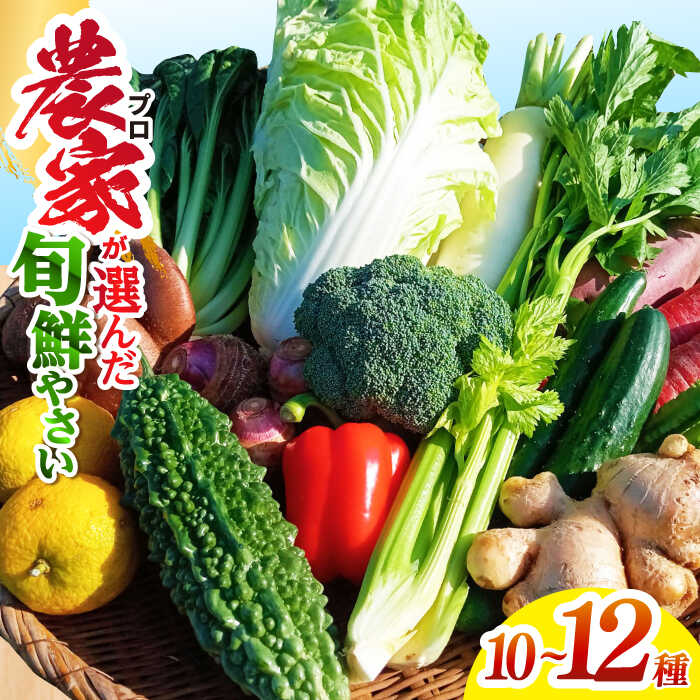 【ふるさと納税】高知県産 土佐季節の野菜詰め合せセット 【香稜苑】[ATBQ001] 訳あり 不揃い 規格外