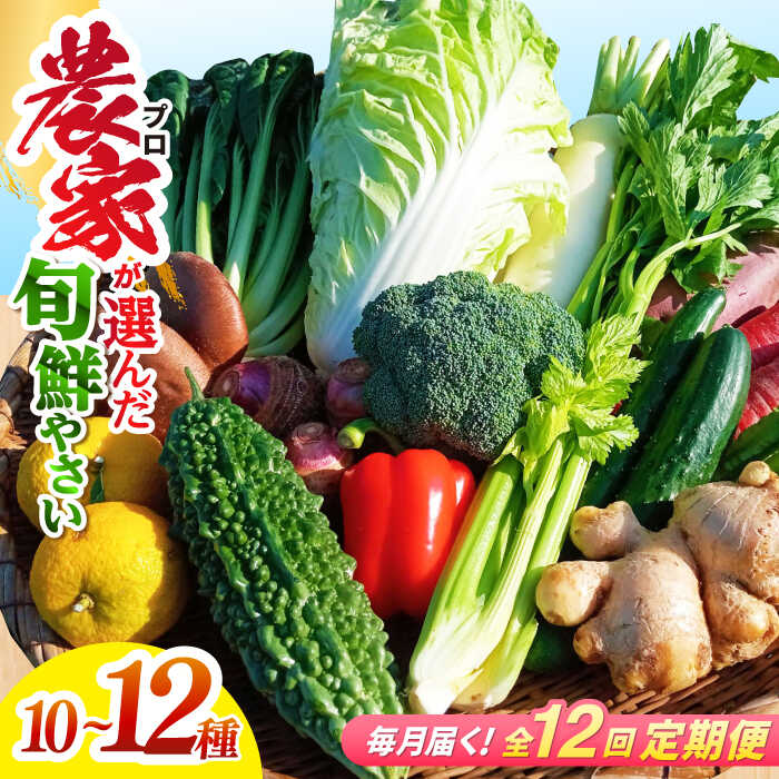 【ふるさと納税】【12回定期便】高知県産 土佐季節の野菜詰め合せセット/毎月 野菜 定期 お野菜 高知 やさい 季節もの【香稜苑】[ATBQ012] 訳あり 不揃い 規格外｜高知県高知市