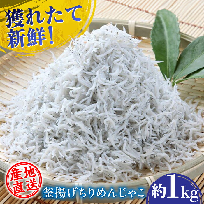 【ふるさと納税】【産地直送】新鮮釜揚げちりめんじゃこ 約1kg 【土居海産】[ATBT001]