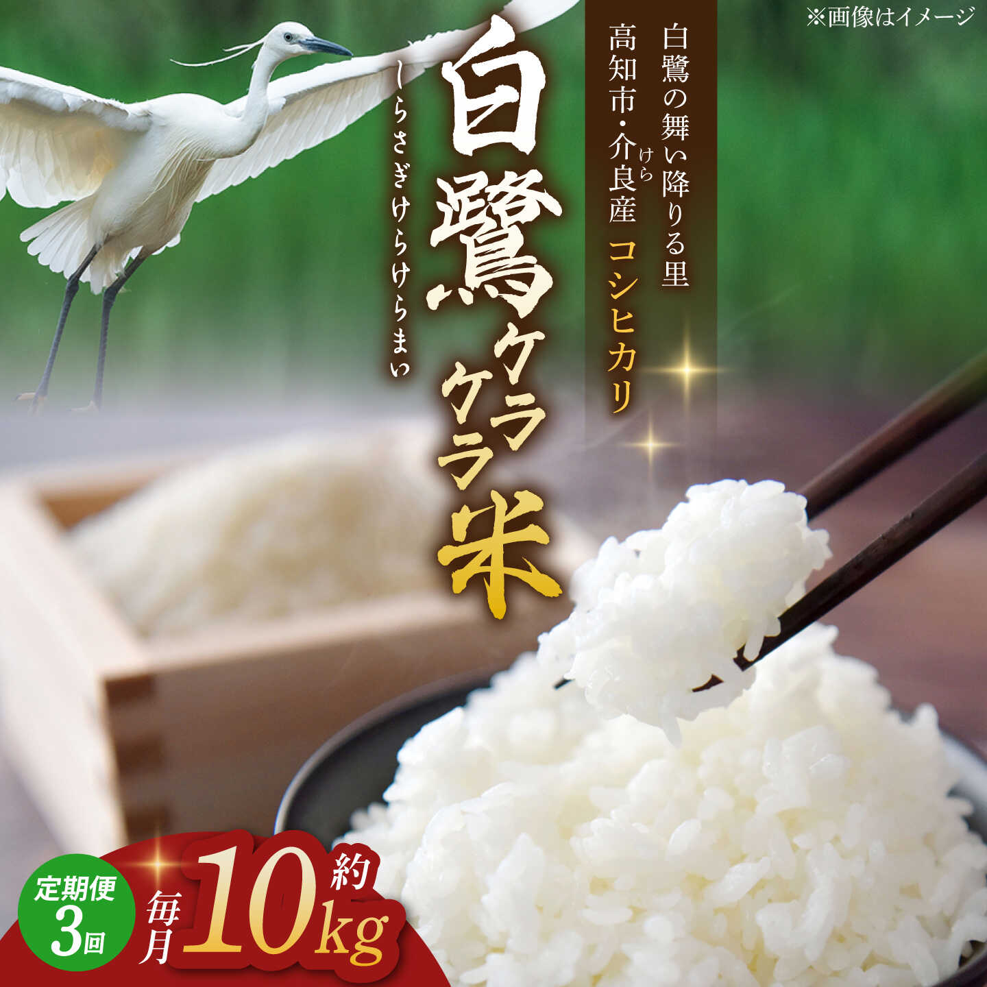 【ふるさと納税】【3回定期便】 R7年度産 特別栽培米 農薬節減！ 白鷺米 コシヒカリ 各約10kg 合計約30kg / 高知 米 お米 精米 　【津ノ宮農園】[ATBV014]｜高知県高知市