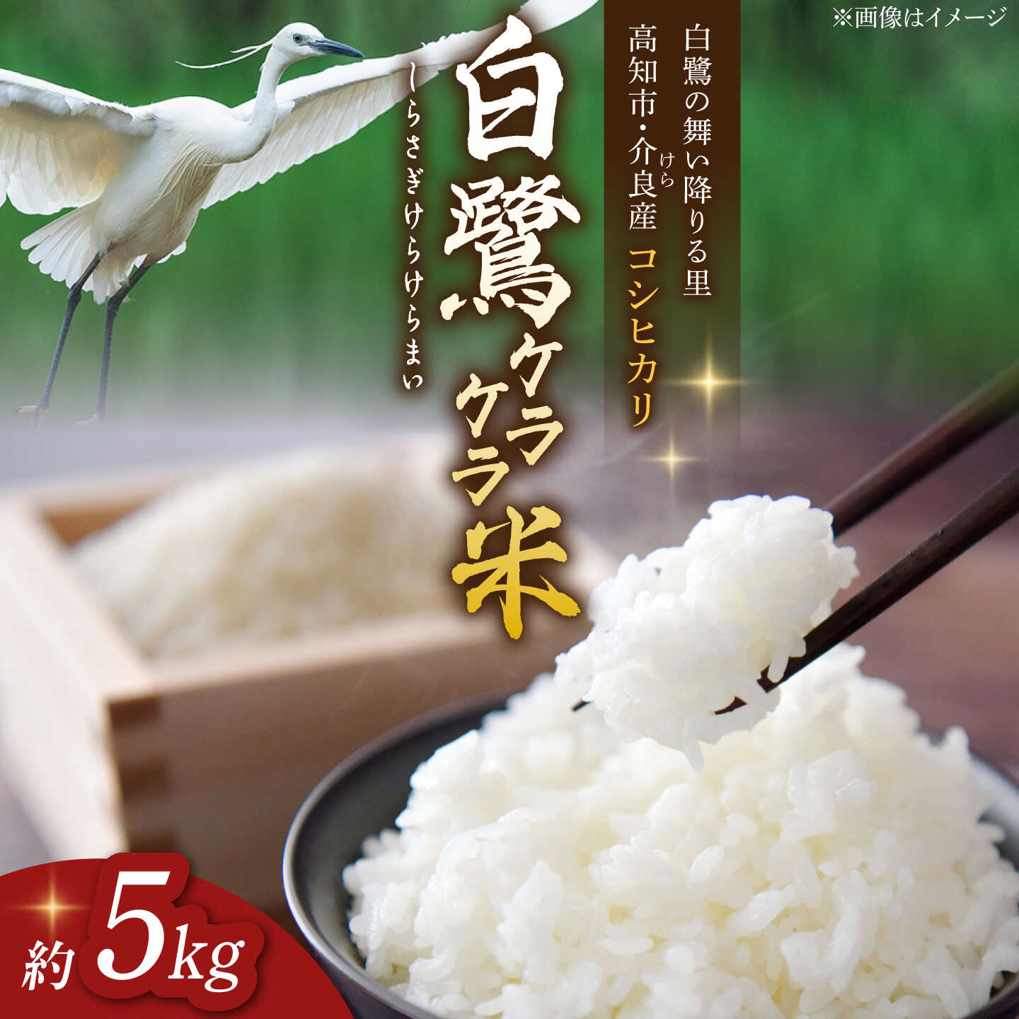 【ふるさと納税】農薬節減！ R7年度産 特別栽培米 白鷺米 コシヒカリ 約5kg ＜2025年9月中旬～発送＞ /農薬使用回数の50％以下 高知県産 米 お米 精米 国産米 お取り寄せ お取り寄せグルメ 白米【津ノ宮農園】[ATBV019]｜高知県高知市