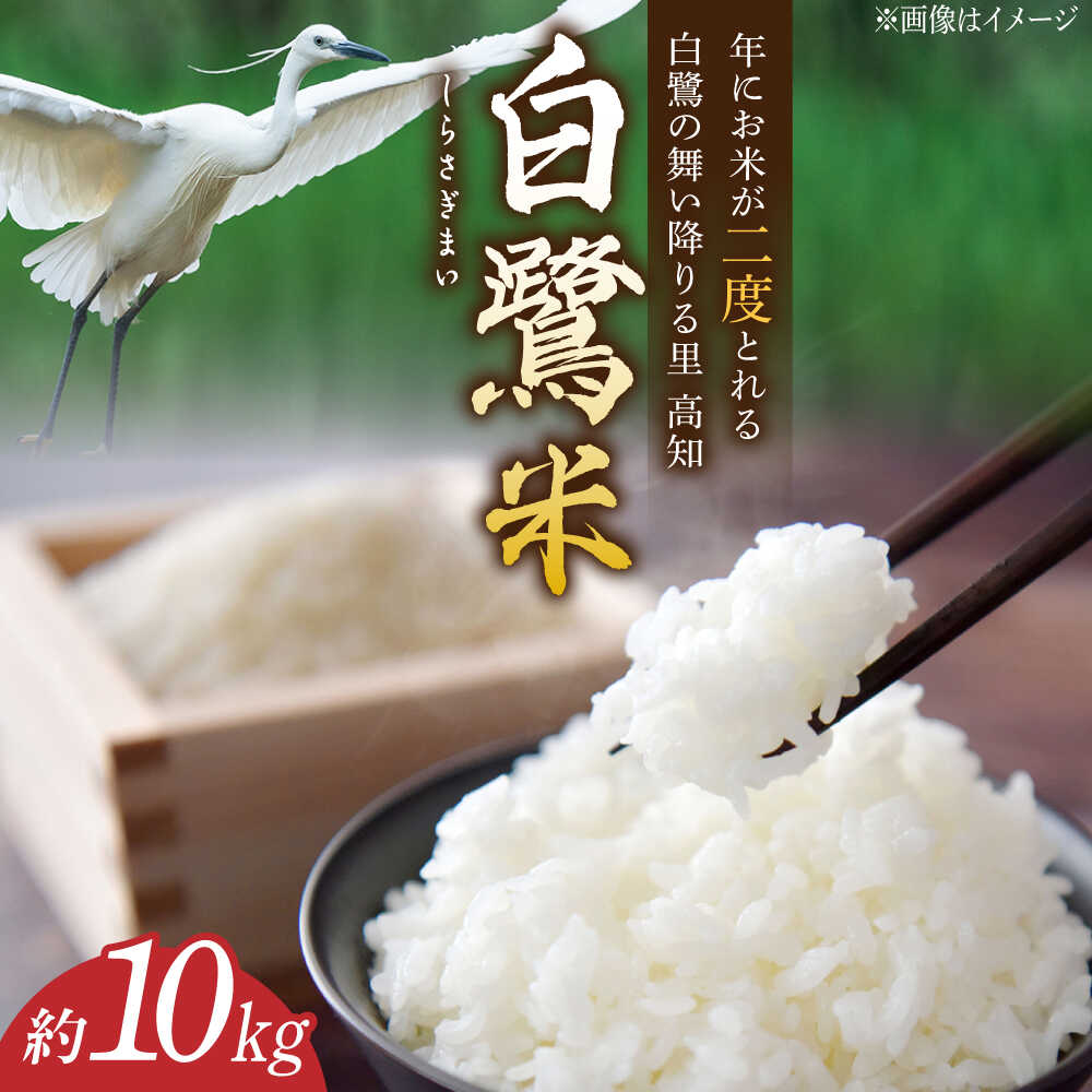 高知市内直接手渡し可能な方-高知県産 新米コシヒカリ100% 25kg  精米込 atbv020.jpg