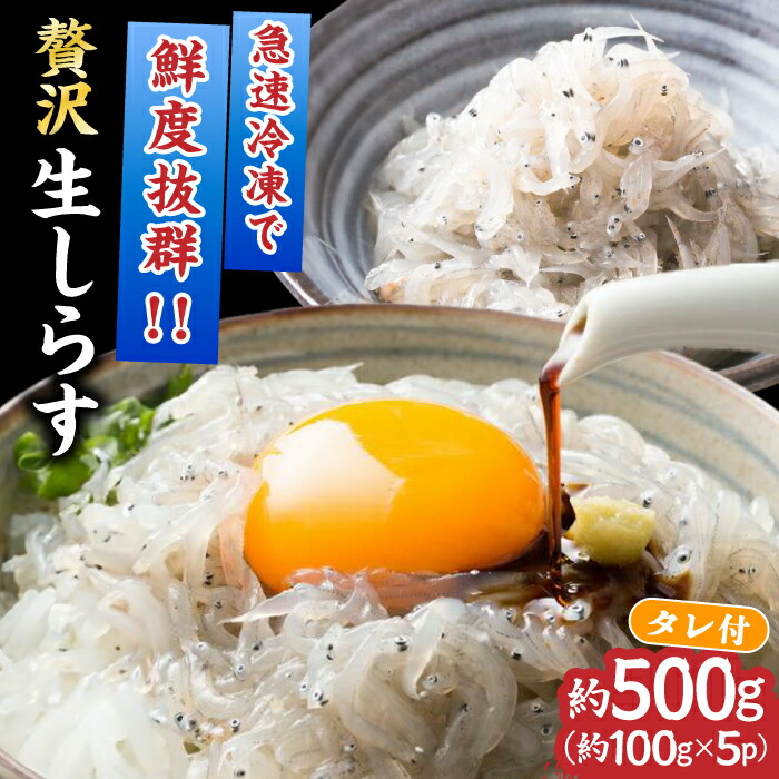 【ふるさと納税】高知産「生シラス」イワシ稚魚約100g×5パック入り (タレ付)[ATBX003]