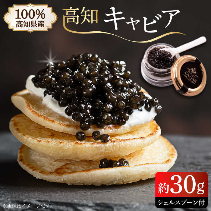 【ふるさと納税】高知産熟成キャビア 約30g (化粧箱) シェルスプーン付Black Jewel 【興洋フリーズ株式会社】[ATBX010] 27,950円