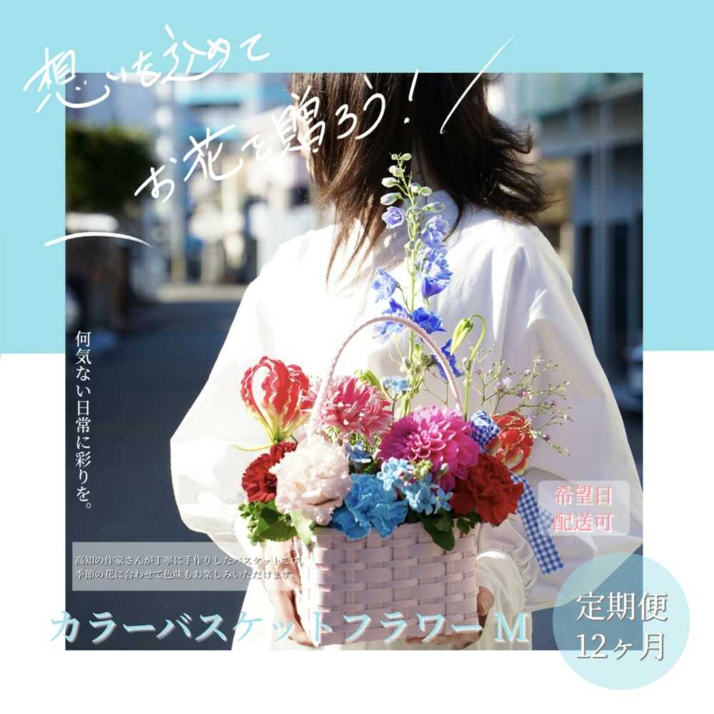 【ふるさと納税】【12回定期便】季節の生花カラーバスケットフラワーM / お花 フラワー カラーバスケット アレンジ 映える リビング 装飾 作家もの カゴ 定期便 人気 季節の生花 収納バスケット ハイセンス ギフト 高知【株式会社tomoni】[ATCG061]｜高知県高知市
