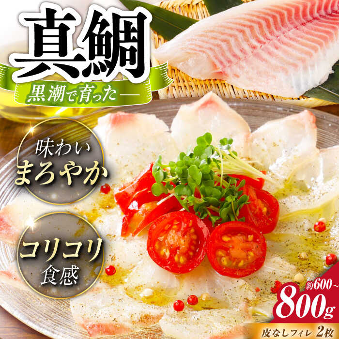 【ふるさと納税】土佐黒潮真鯛・フィレ（皮なし）2枚（約600～800g）【株式会社　羽根】[ATCK013]