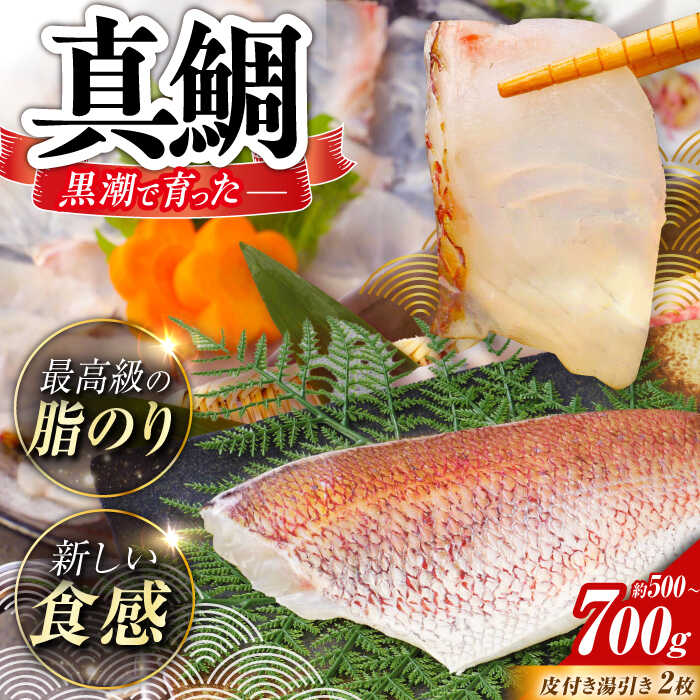 【ふるさと納税】土佐黒潮真鯛の湯引き（皮付き）2枚（約500～700g）【株式会社　羽根】[ATCK014]