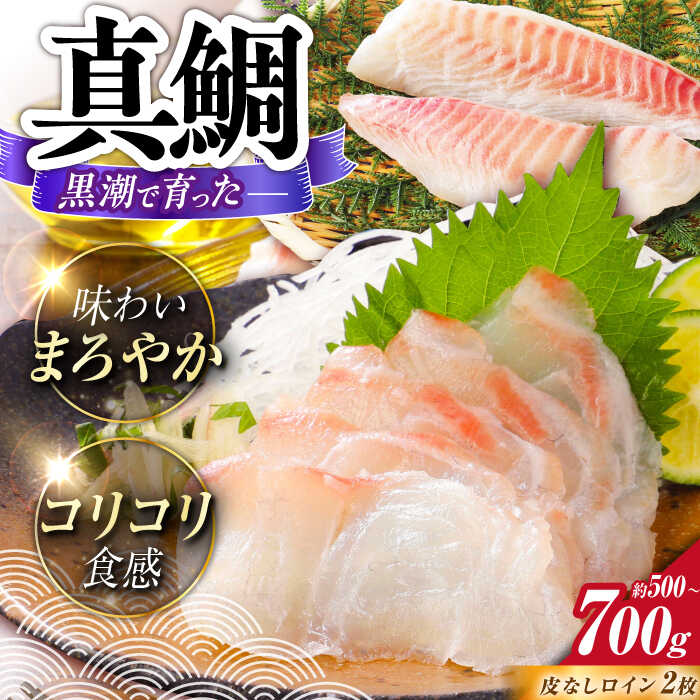 【ふるさと納税】土佐黒潮真鯛ロイン（皮なし）2枚（約500～700g）【株式会社　羽根】[ATCK015]
