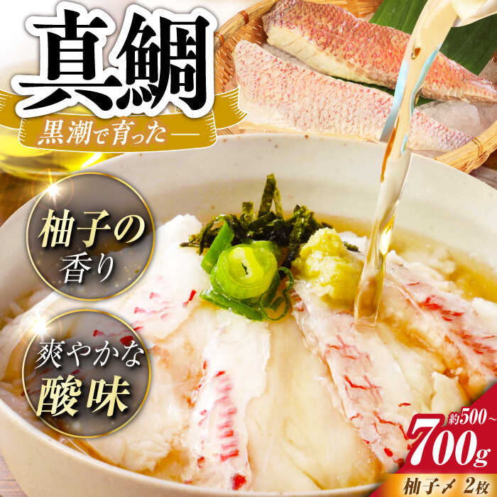 【ふるさと納税】土佐黒潮真鯛の柚子〆　2枚（約500～700g）【株式会社　羽根】[ATCK016]