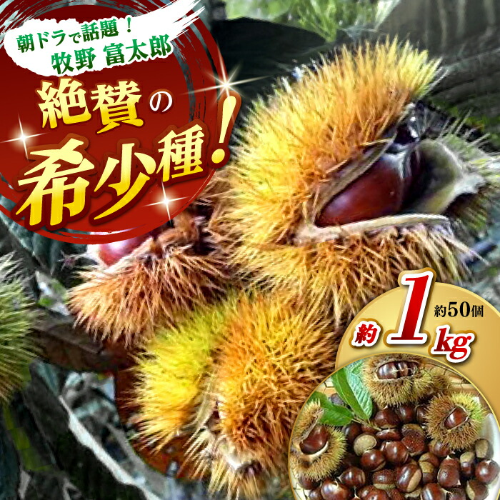 【ふるさと納税】【先行予約】ほくほく甘い！熟成した夢甘栗 高級生栗＜秀品規格＞ 約1kg (約50個前後)  /栗 くり 季節 秋 旬 直送【仁淀川流域夢甘栗生産者組合 くり蔵】[ATDR002]
