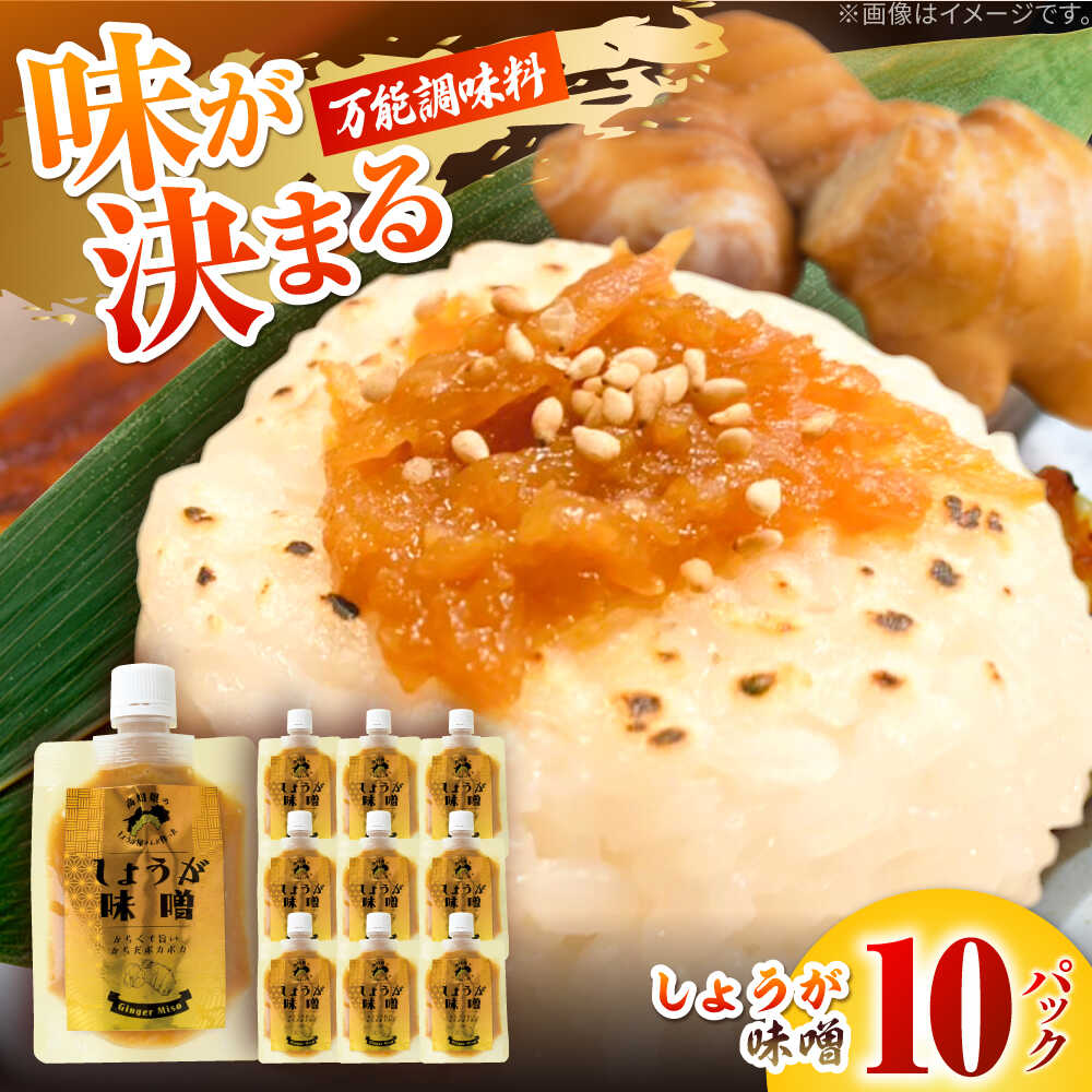 【ふるさと納税】しょうが味噌　約100g&times;10パック【Japan Ginger 株式会社】 しょうが 国産 高知 調味料 味噌汁 みそ汁 小分け パウチ[ATFD003]｜高知県高知市