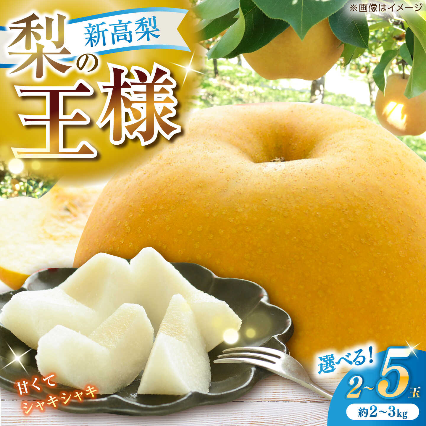 【ふるさと納税】 【先行予約・選べる内容量】新高梨 秀 2玉～5玉〈2026年9月20日～10月末発送〉 / 高知県産 数量限定 針木 新高梨 梨 和梨 果物 フルーツ デザート 【川渕果樹園】[ATHX001]