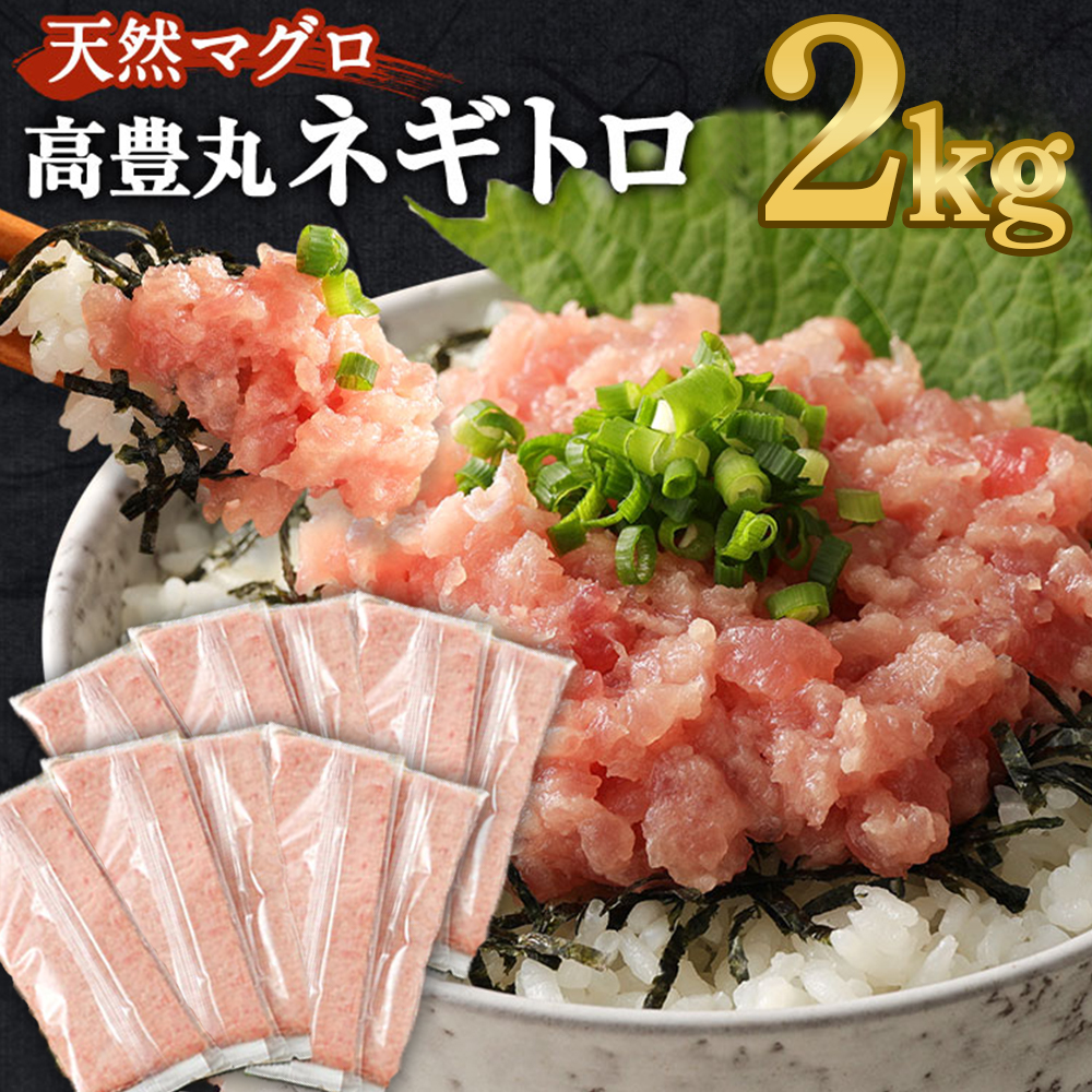 【ふるさと納税】 【 訳あり 】  高豊丸 ネギトロ 2kg (200g×10パック) ふるさと納税限定 高品質 ねぎとろ マグロ 鮪 まぐろ たたき まぐろのたたき 訳あり おかず 魚介 魚 寿司 すし 海鮮 小分け 海鮮丼 手巻き寿司 冷凍 故郷納税 送料無料