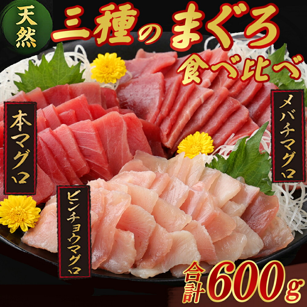 【ふるさと納税】 【３種のまぐろお手軽グルメセット】 ６００ｇ　本マグロ ビンチョウマグロ メバチマグロ スライス 切り落とし 切落し 天然 鮪 刺身 刺し身 食べ比べ 魚 さかな 高知 室戸 冷凍 小分け 便利 10000円 1万円 寄付額見直し tk090