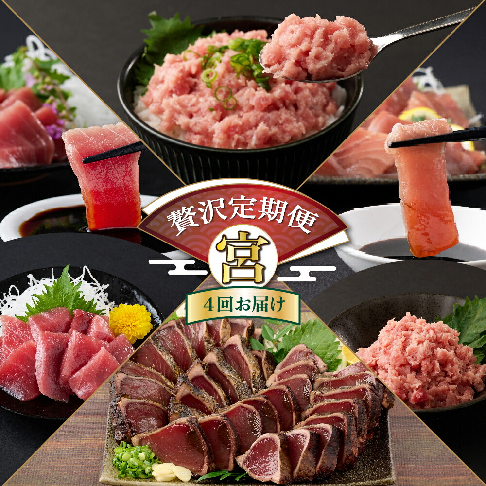 【ふるさと納税】 【贅沢定期便「宮」/全４回】 タカシン水産厳選 高知の海鮮セット 4ヶ月連続 マグロ 刺身 刺し身 魚 惣菜 海鮮丼 魚介類 食べきりサイズ 小分け 冷凍 訳あり 不揃い 規格外 定期 連続 50,000円  寄付額見直し tk111
