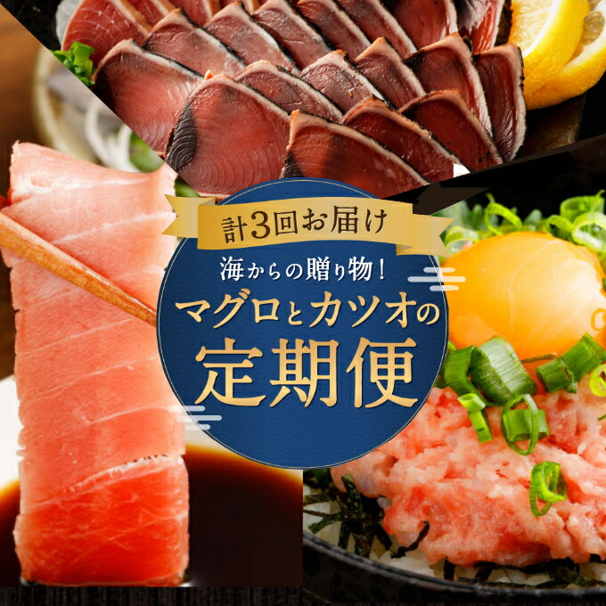 【ふるさと納税】 【3回定期便】 海からの贈り物！マグロとカツオの定期便 まぐろ カツオのたたき ネギトロ 中トロ 刺身 海鮮 鰹 冷凍 コロナ 魚 海産物 魚介類 高知県 まぐろたたき 鮪 緊急支援品 藁焼き わら焼き 訳あり 不揃い 傷 規格外 故郷納税 送料無料