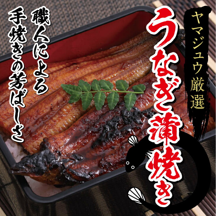 【ふるさと納税】 ヤマジュウ厳選! うなぎ 2尾 合計350g～360g 約175g～180g×2 タレ付き ウナギ 鰻 蒲焼き かば焼き 加工品 魚 魚介類 送料無料