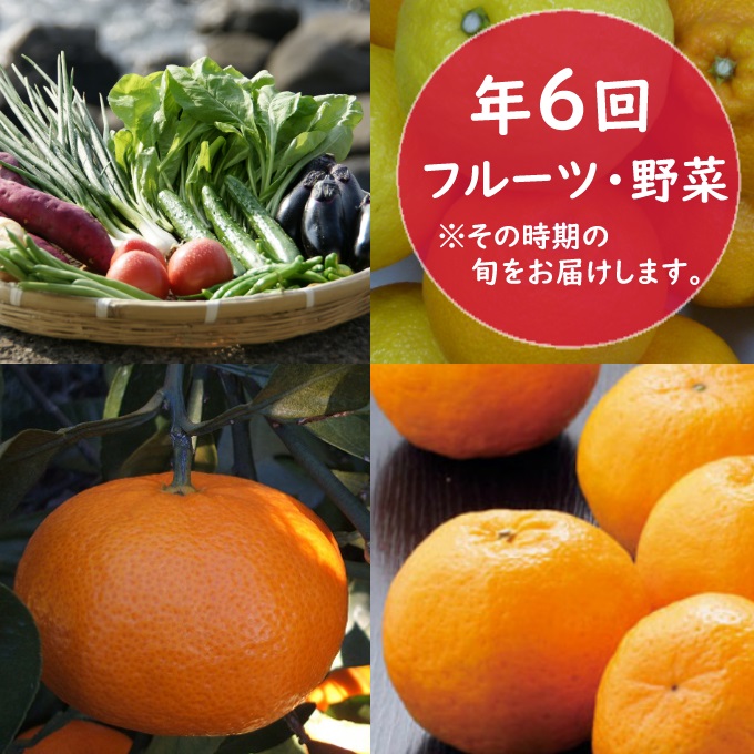 【ふるさと納税】ＲＫ０２０フルーツ・野菜年６回定期便（１１月〜４月）