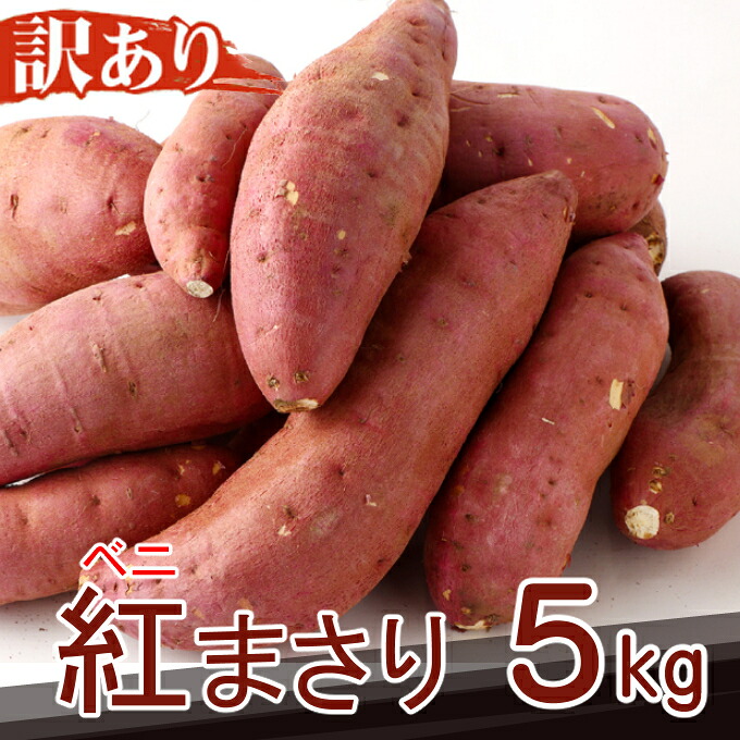 ②4/22〜4/24発送】サツマイモ紅はるか500本【さつまいも苗】 果菜