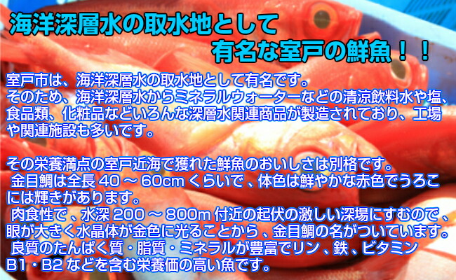 【ふるさと納税】まるごと2匹!金目鯛2尾合計800g~1kgキンメダイ魚タイ鯛魚介類鮮魚海鮮送料無料NK002