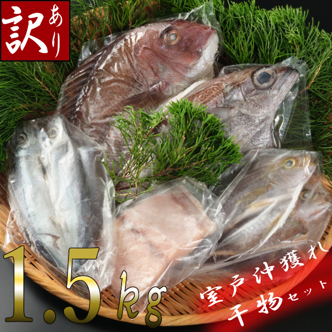 楽天市場 ふるさと納税 訳あり 地魚干物セット 約1 5kg お楽しみ 干物 おかず おつまみ 魚 魚介類 惣菜 傷あり ご家庭用 冷凍 送料無料 Nk032 高知県室戸市