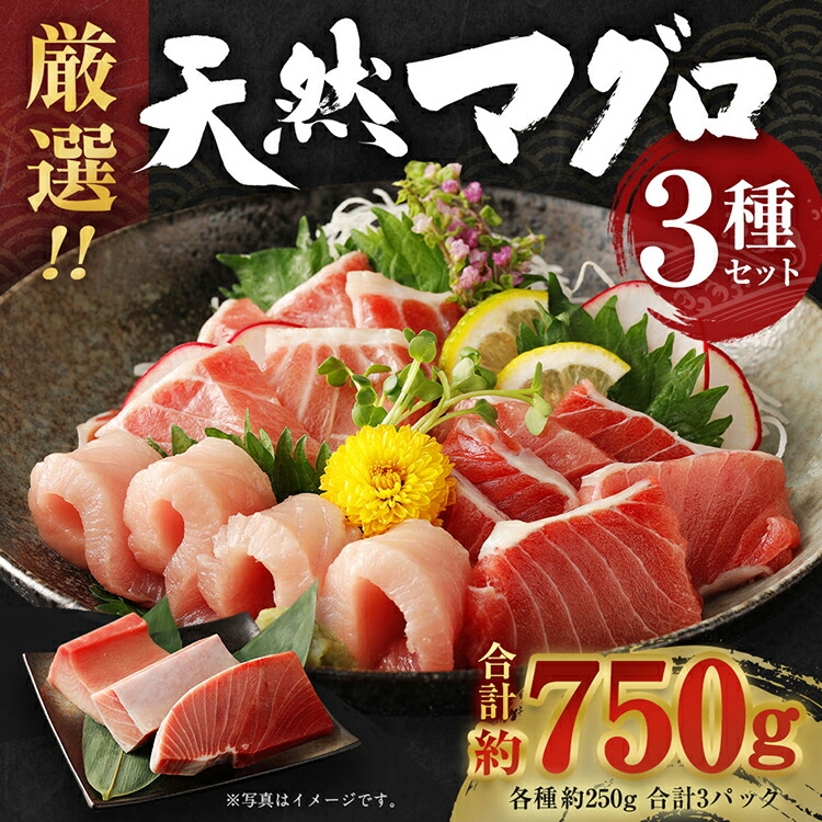 【ふるさと納税】 【訳あり】 【コロナ緊急支援品】 厳選天然マグロ 3種セット 合計約750g (南マグロ250g・めばちマグロ250g・びんちょうマグロ250g) 3種類 ふるさと納税限定 食べ比べ ブロック 魚 惣菜  刺身 まぐろ丼 手巻き寿司 海鮮丼 冷凍 故郷納税 20000円 送料無料