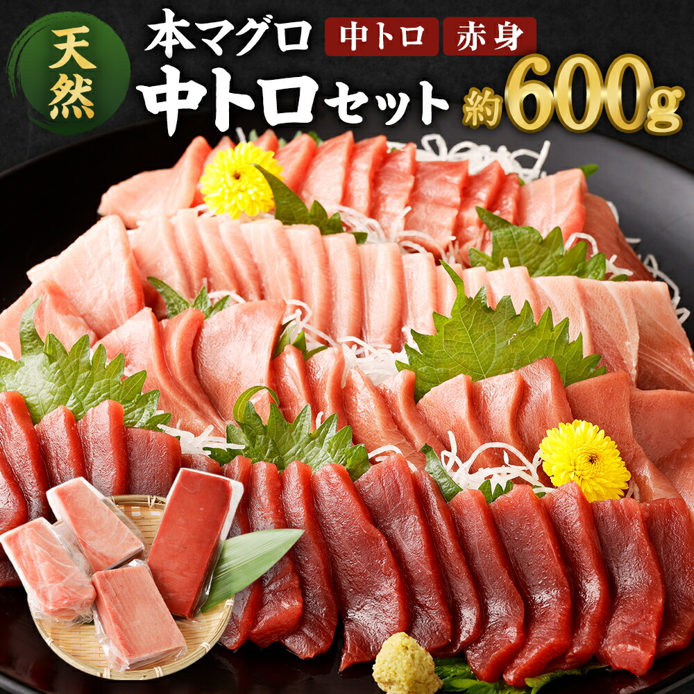 【ふるさと納税】 【訳あり】 【コロナ緊急支援品】 厳選天然本マグロ 中トロたっぷりセット 合計約600g (中トロ400g・赤身200g) ふるさと納税限定 食べ比べ ブロック 魚 惣菜 刺身 高知県 魚介 お刺し身 鮪 まぐろ丼 刺身 手巻き寿司 海鮮丼 漬け丼 冷凍 送料無料
